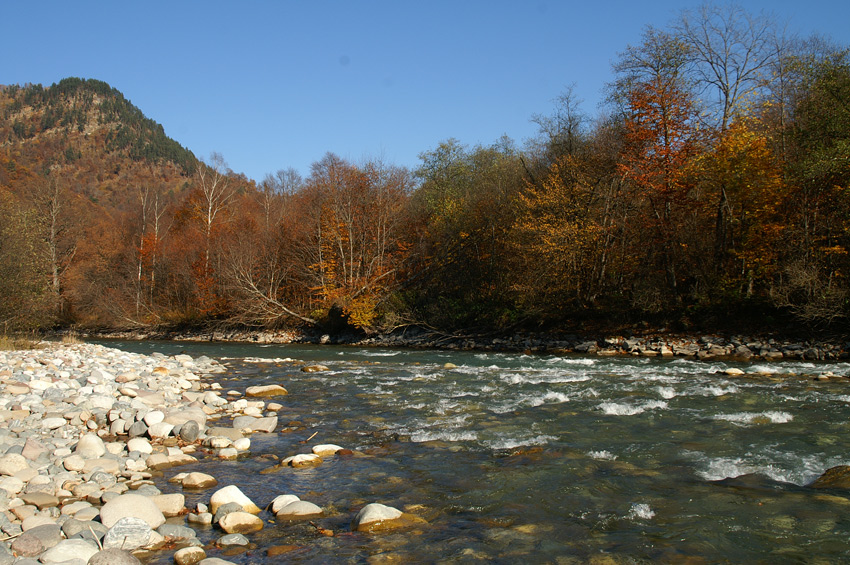  -2007
