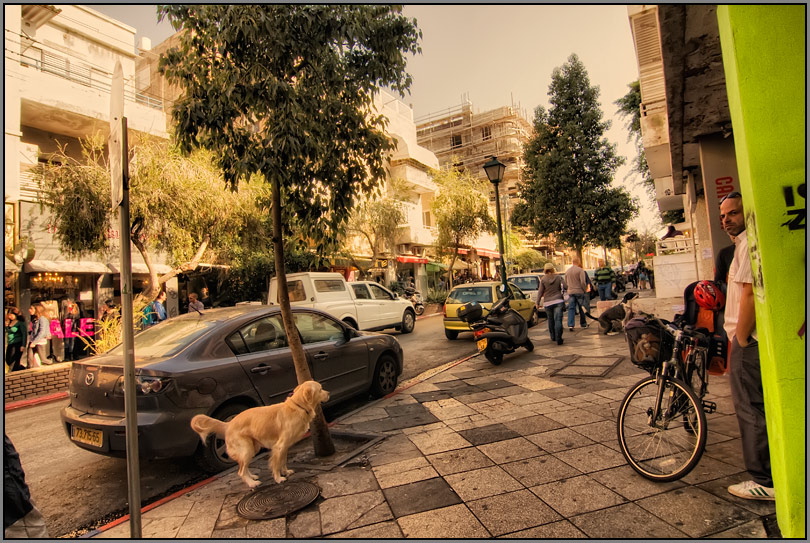  Tel-Aviv 1115