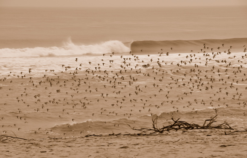  Atlantic #1