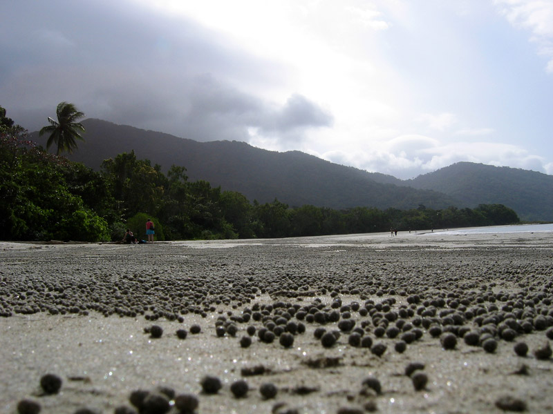  Cairns beach