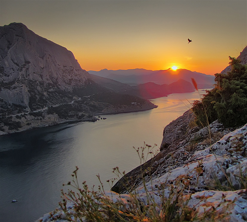  Golden Dawn