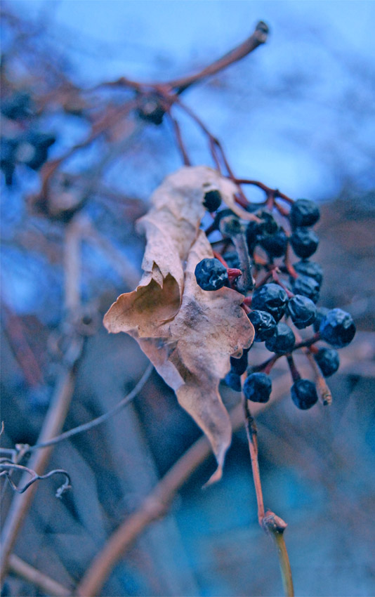  November...