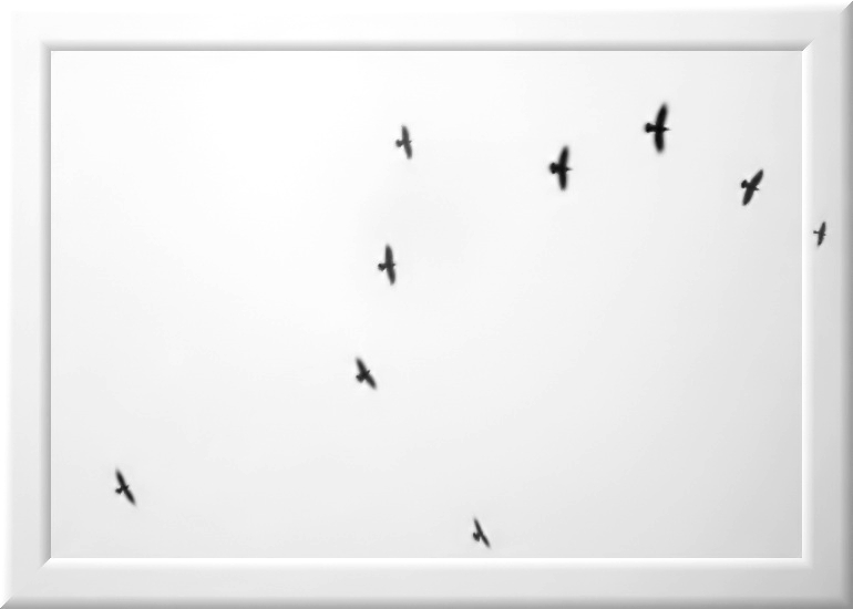  fly on Flight