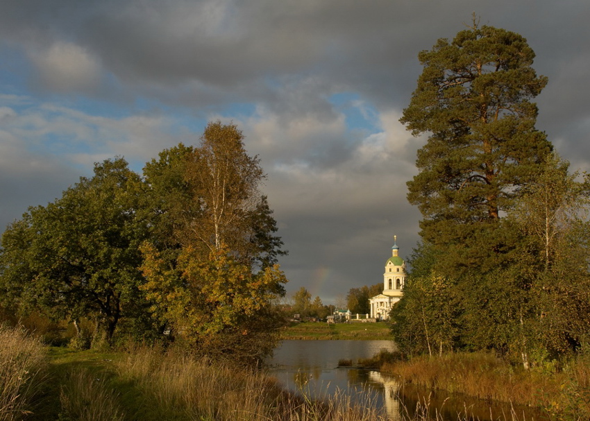    (2008)