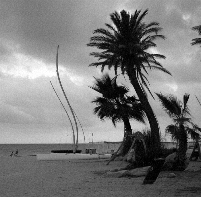  wind