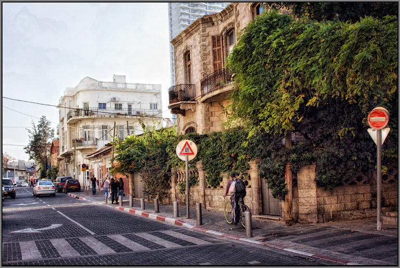  Tel-Aviv 1343