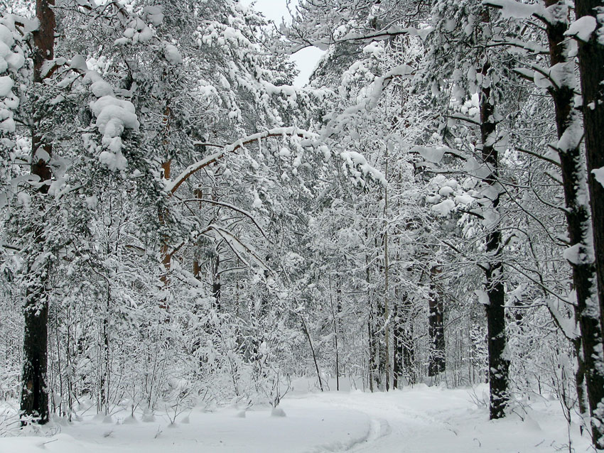  -25