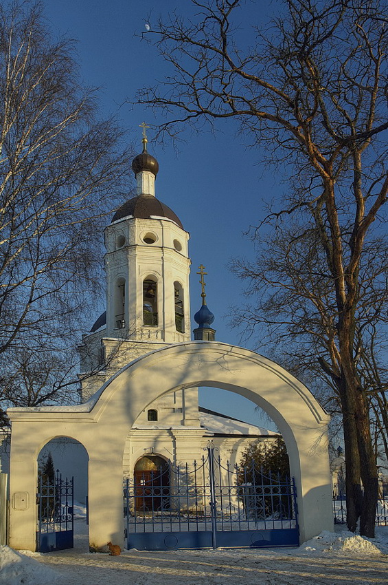   (2007)