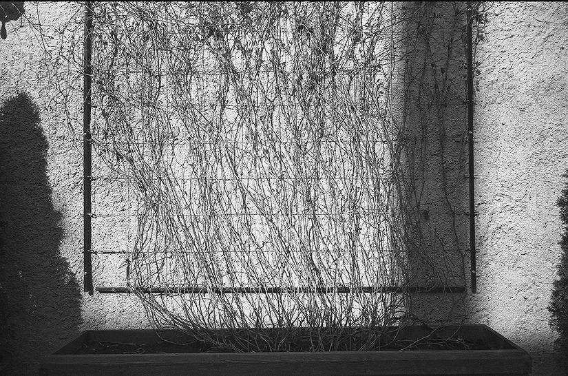  . . 2008.