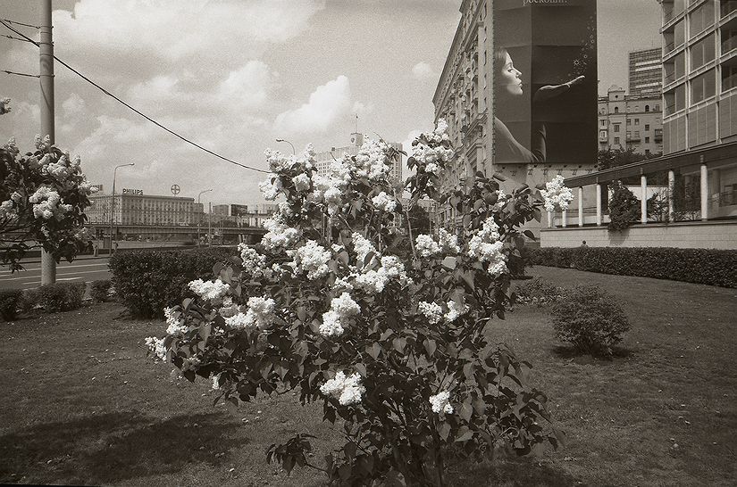   . . 2008.