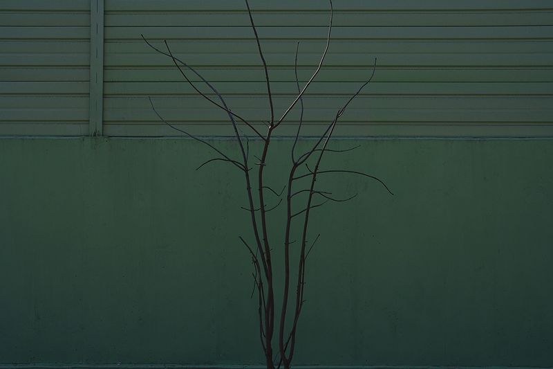    . 2007.