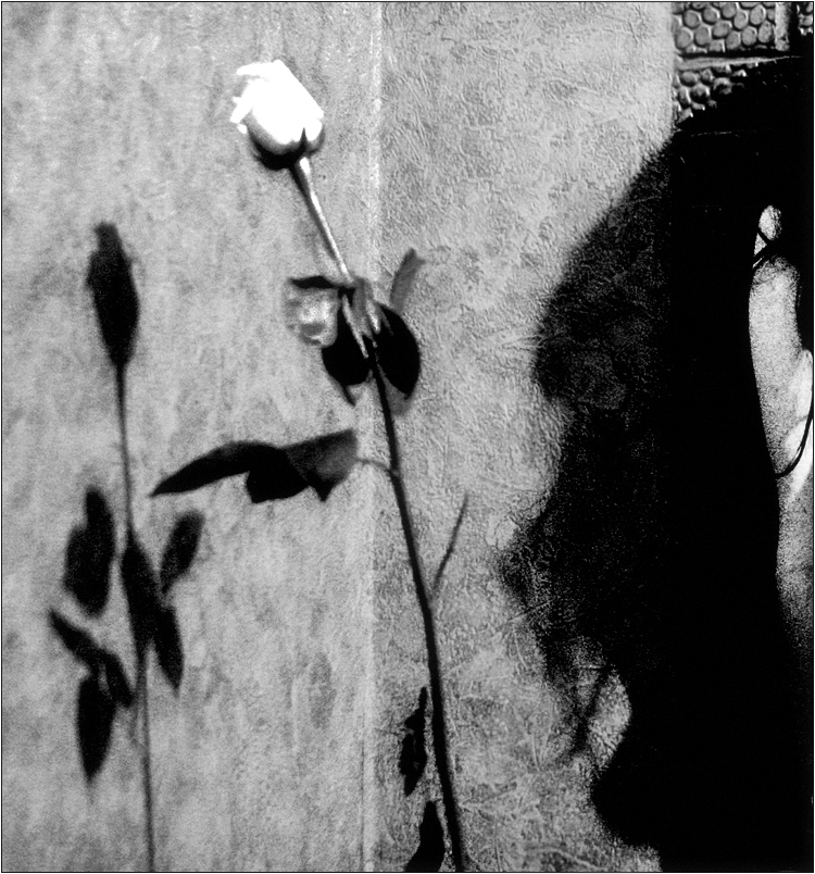  Thorns