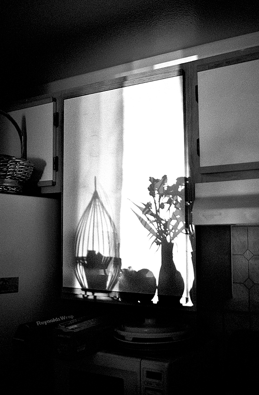  Shadow Flowers