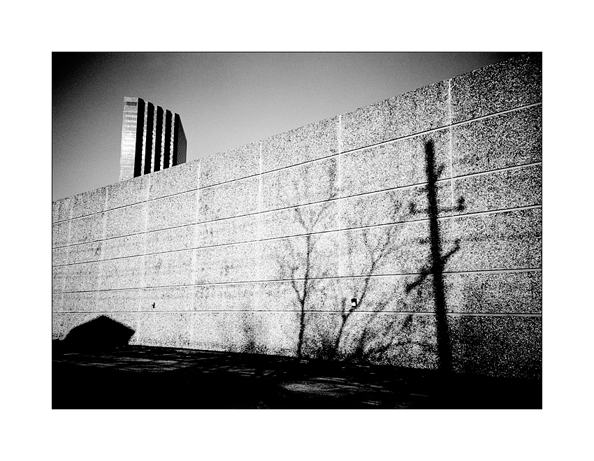  Urban Jungle
