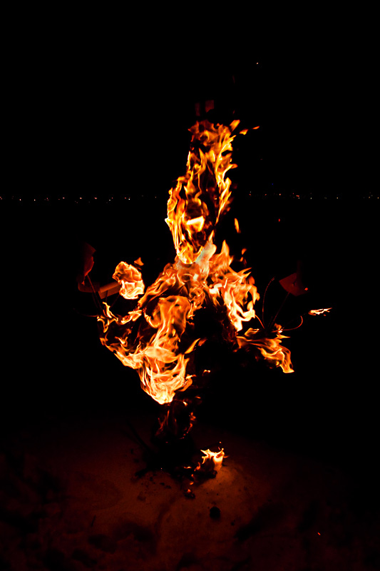  firedemon