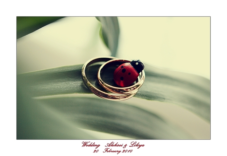  Wedding Aleksei & Liliya