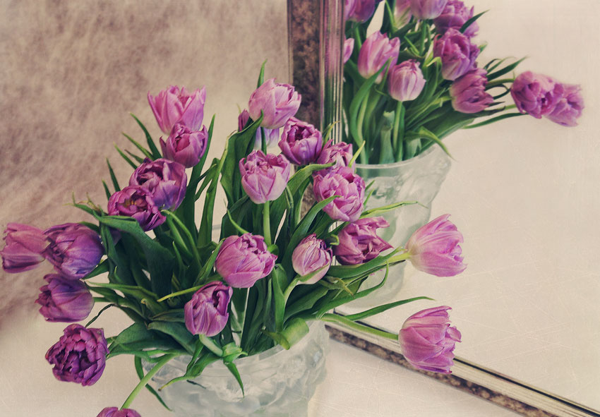  printemps