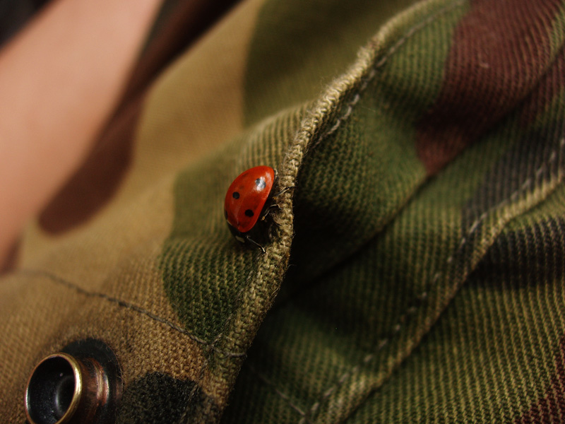  khaki-green peace