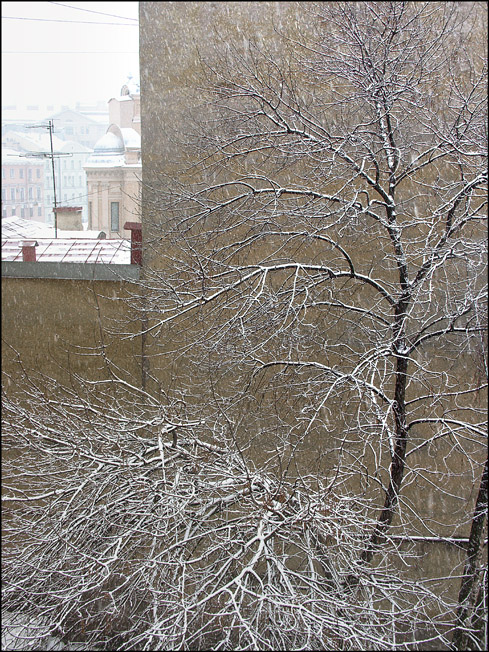  2010314