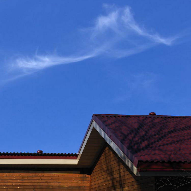  sky #1