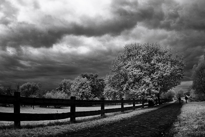  IR Schloss Dornburg #30