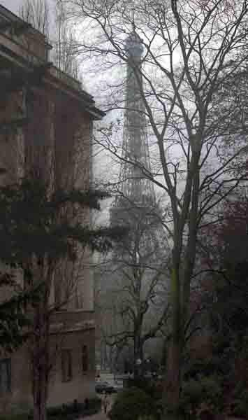  PARIS 35