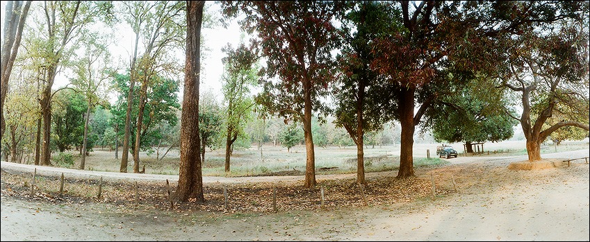  Kanha