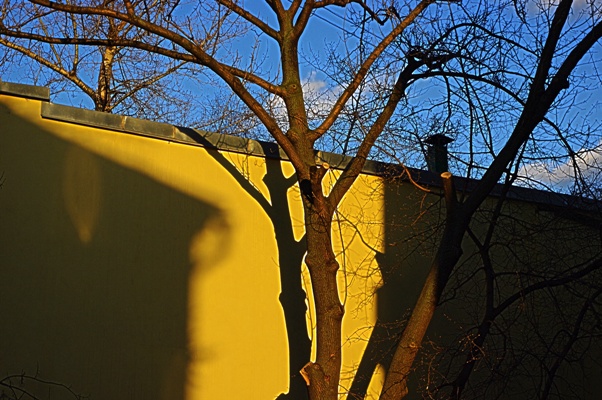     / Spring in Moscow. 2010.