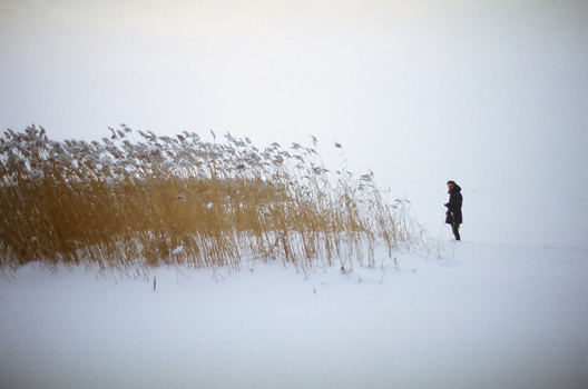 silens