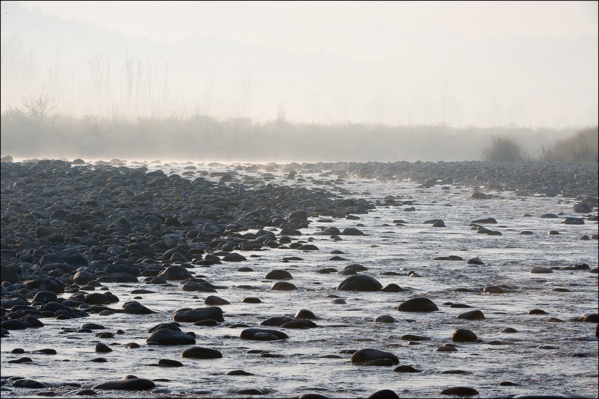   Jim Corbett National Park 