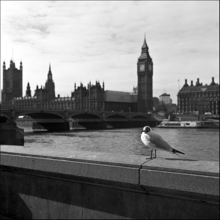  London #36