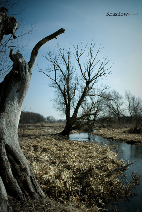 sarna river