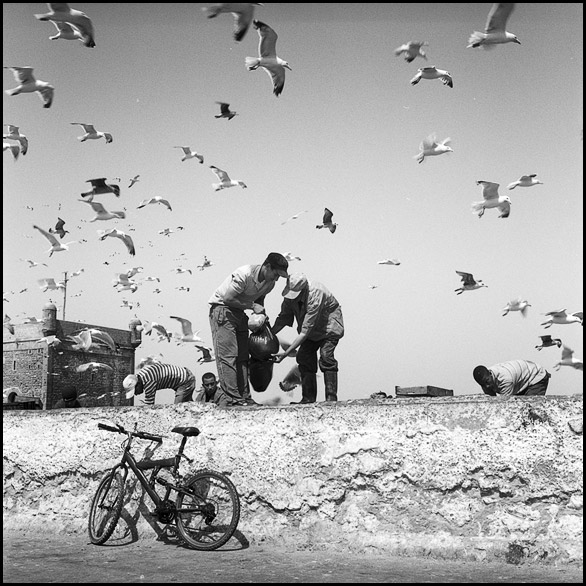  Essaouira