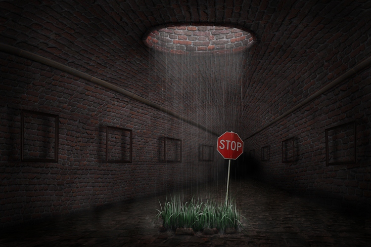  Rain (  ...)