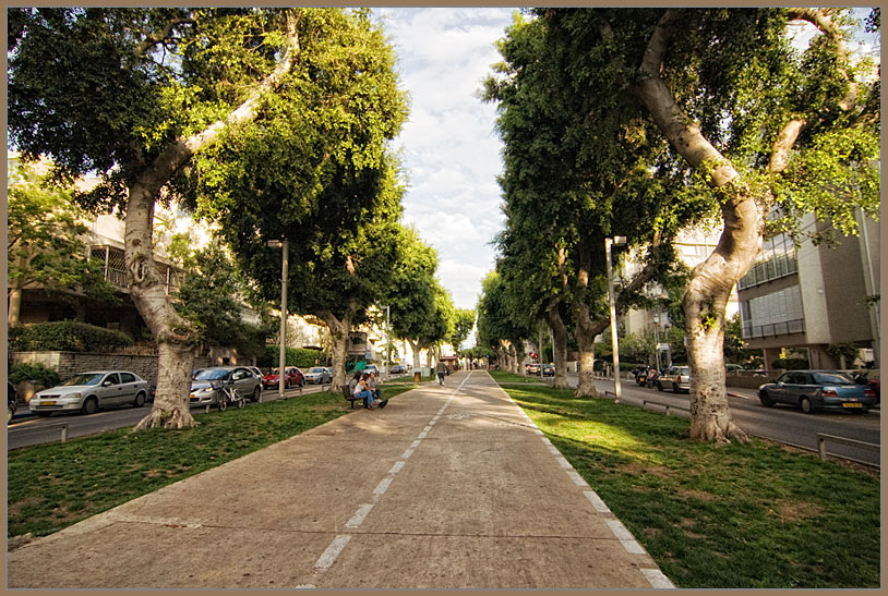  Tel-Aviv 6245