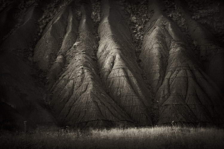  Forms #12