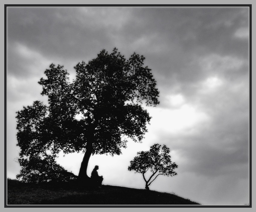  Silhouettes of the evening