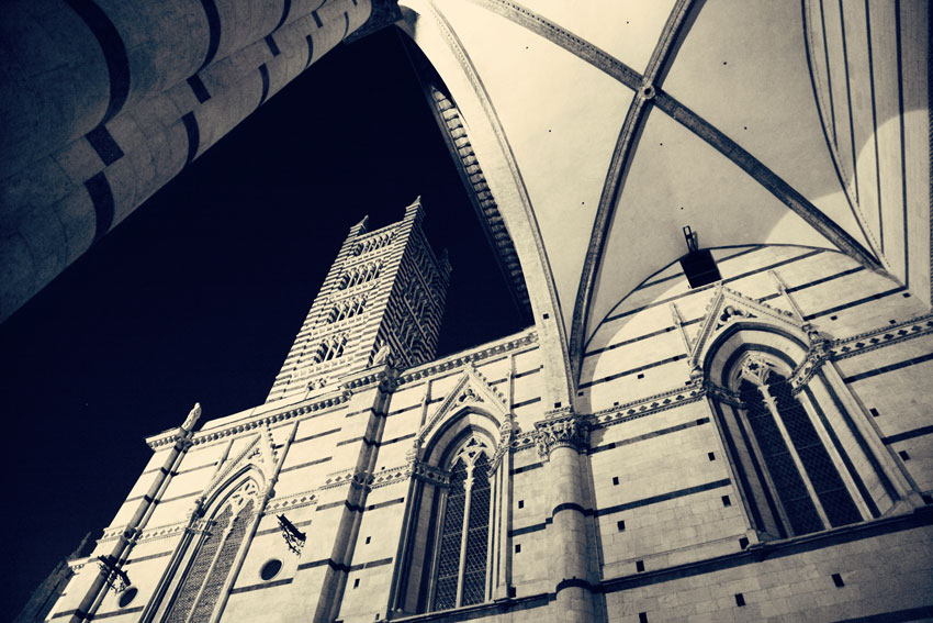  siena
