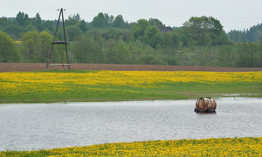  spring