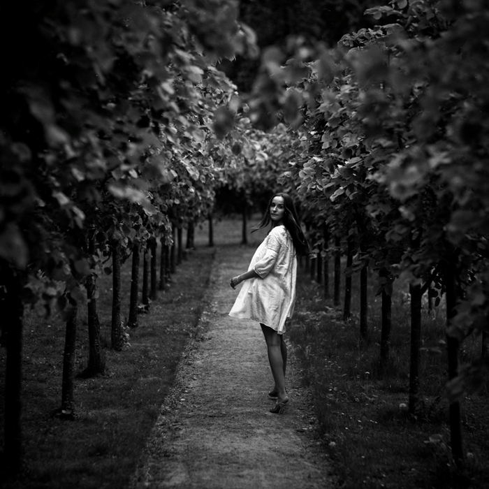  follow me...