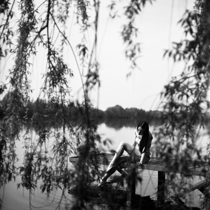  the wind in the willows