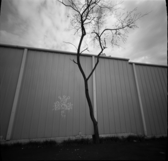  pinhole @