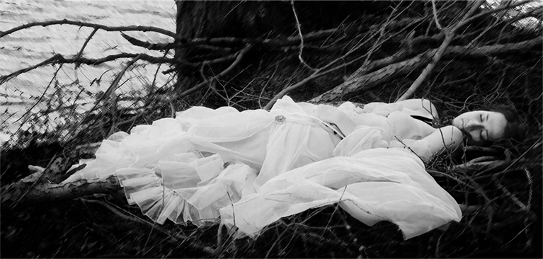  Where the wild roses grow