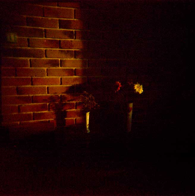  holga **