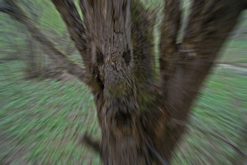   , 