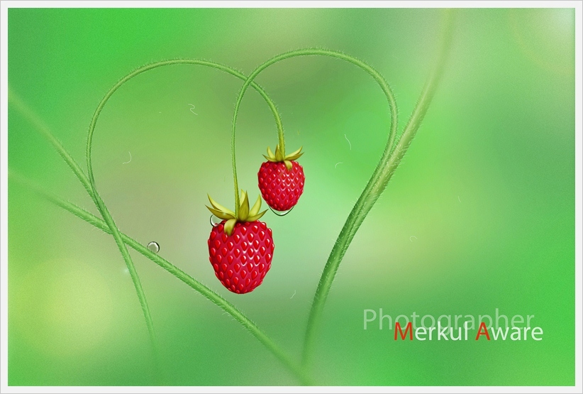  Love is...