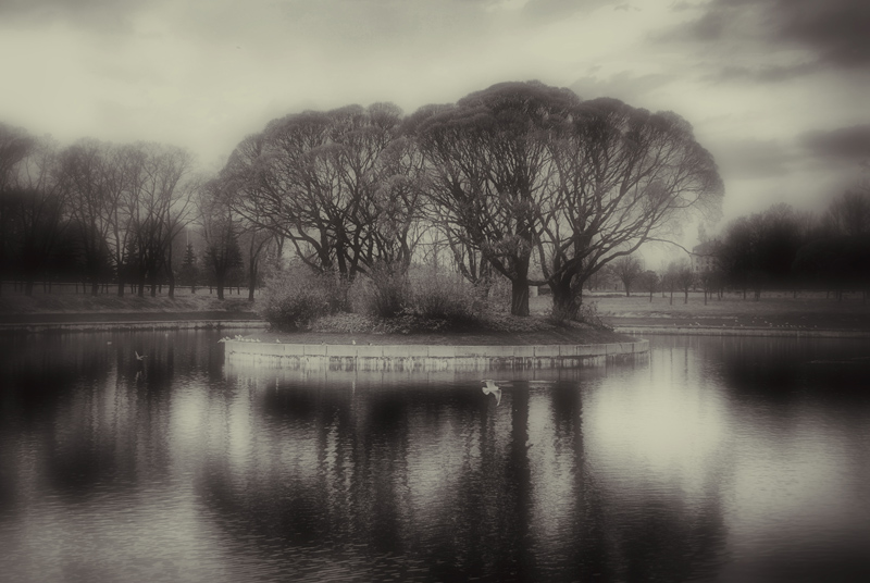  island
