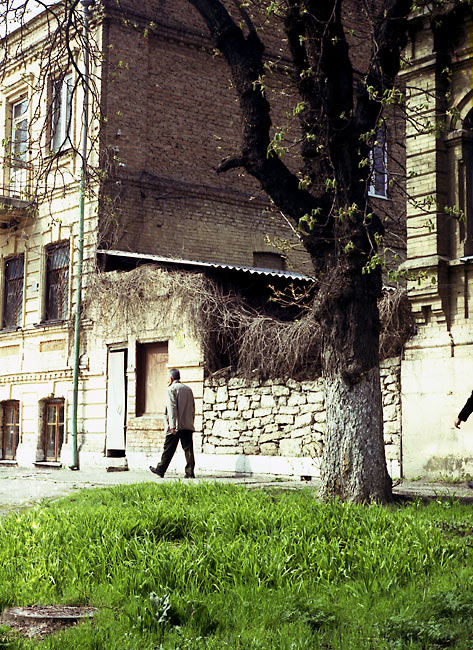  -2009. 