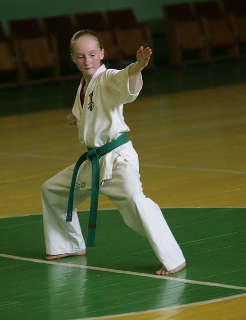  Kyokushin Karate