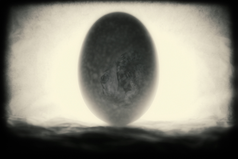  new life